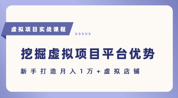 抓住虚拟项目各平台优势，新手轻松月入1W+(给出具体建议)-鸿途网创资源站