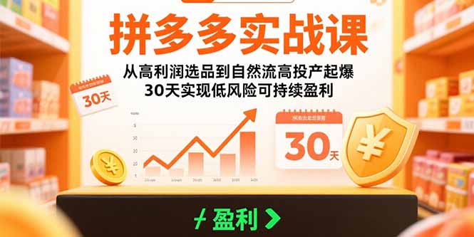 拼多多实战课：从高利润选品到自然流高投产起爆 30天实现低风险可持续盈利-鸿途网创资源站