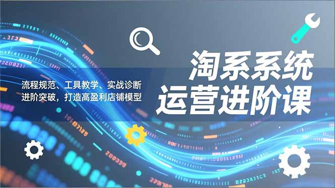 淘系系统运营进阶课2.0，流程规范、工具教学、实战诊断，进阶突破，打造高盈利店铺模型-鸿途网创资源站