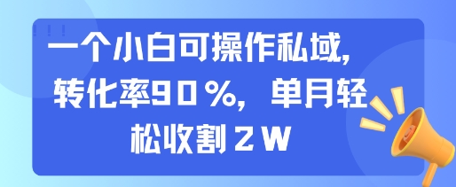 一个小白可操作私域，转化率90%，单月轻松收割2W-鸿途网创资源站