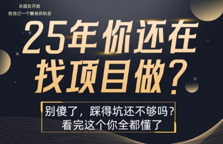 25年，你还在疯狂的找项目吗？别傻了，看完这个你都懂了【揭秘】-鸿途网创资源站
