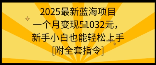 2025最新蓝海项目一个月变现1w+新手小白也能轻松上手【附全套指令】-鸿途网创资源站
