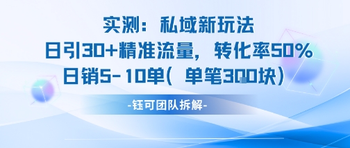 实测私域新玩法日引30加精准流量转化率50%日销5-10单每笔3张-鸿途网创资源站
