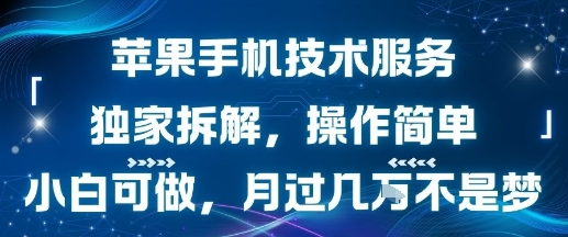 苹果手机技术服务，独家拆解，操作简单，小白可做，月过1W不是梦-鸿途网创资源站