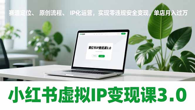 小红书虚拟IP变现课3.0，赛道定位、原创流程、IP化运营，实现零违规安全变现，单店月入过万-鸿途网创资源站