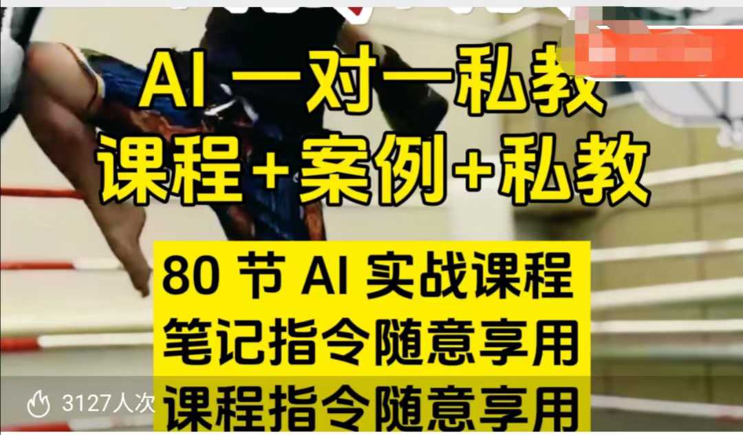 AI指令实战课，课程+案例，80节AI实战课程，笔记指令随意享用，课程指令随意享用(更新7月)-鸿途网创资源站