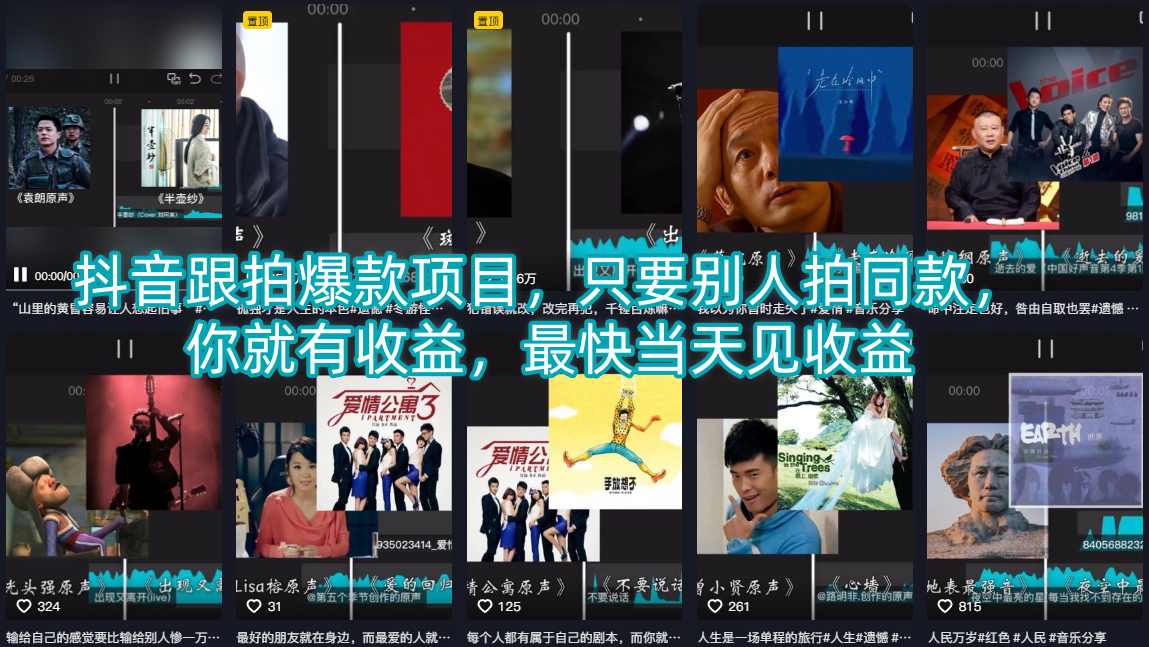 抖音跟拍爆款项目，只要别人拍同款，你就有收益，最快当天见收益-鸿途网创资源站
