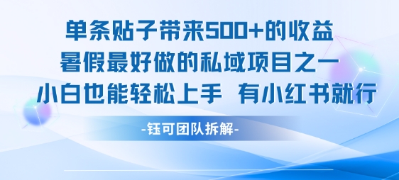 单条贴子带来5张的收益，暑假最好做的私域项目之一，小白也能轻松上手，有小红书就行-鸿途网创资源站