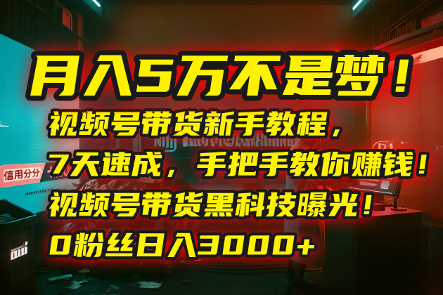 月入5万不是梦！视频号带货新手教程，7天速成，手把手教你赚钱！视频号…-鸿途网创资源站