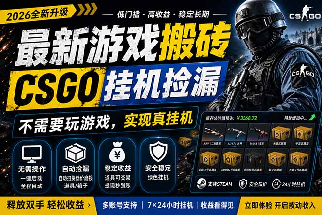 最新游戏搬砖，CSGO纯挂机，不需要玩游戏，实现真挂机，月入1W+，五一小高峰上车可吃肉，…-鸿途网创资源站