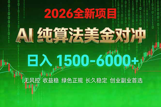 2026 全新美金对冲项目，不套平台赠金，不封号，纯算法对冲，日入 1500-6000+-鸿途网创资源站