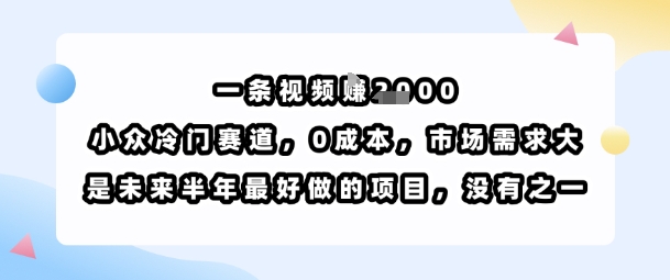 一条视频挣1k,小众冷门赛道,0成本,市场需求大,是未来半年最好做的项目,没有之一-鸿途网创资源站