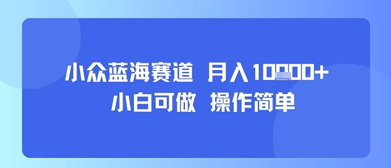 小众蓝海赛道，小白可做，操作简单，每天30分钟，月入1W+-鸿途网创资源站