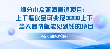 小众蓝海赛道项目：当天变现1k+适合新手操作 +适合长期玩-鸿途网创资源站