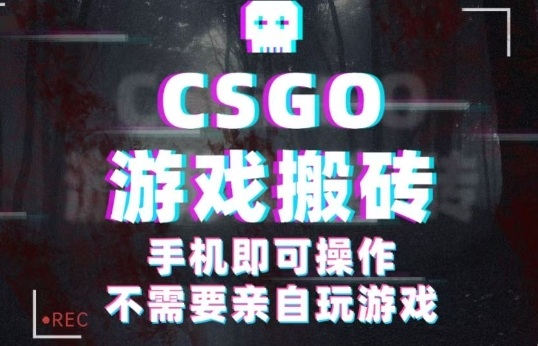 CSGO游戏挂G捡漏，单日扫货5张+，年底小高峰上车可吃肉，手机即可操作，兼职副业创业网创【揭秘】-鸿途网创资源站