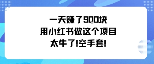 一天挣了9张用小红书做这个项目太牛了，空手套-鸿途网创资源站