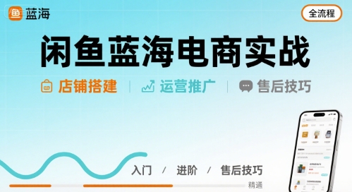 闲鱼蓝海电商实战，店铺搭建运营售后全流程-鸿途网创资源站