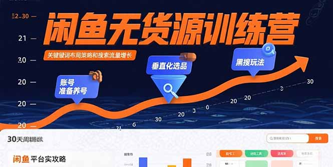 闲鱼无货源训练营：账号准备养号/垂直化选品/黑搜玩法，0基础30天盈利指南-鸿途网创资源站