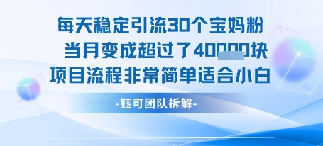 每天稳定引流30个人 当月变成超过了4个W项目流程非常简单适合小白-鸿途网创资源站