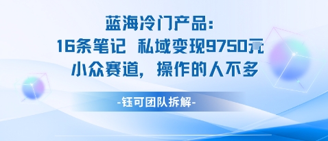 蓝海项目：16条笔记私域变现9750米小众赛道操作的人不多-鸿途网创资源站