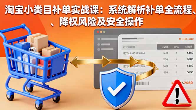 淘宝小类目补单实战课：系统解析补单全流程、降权风险及安全操作-鸿途网创资源站