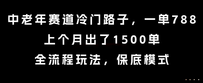 中老年赛道冷门路子，一单788，上个月出了1500单，全流程玩法，保底模式【揭秘】-鸿途网创资源站