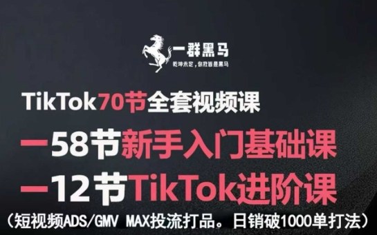 TikTok全套视频课,新手入门+进阶课,短视频ADS-GMV MAX投流打品,日销破1000单打法-鸿途网创资源站
