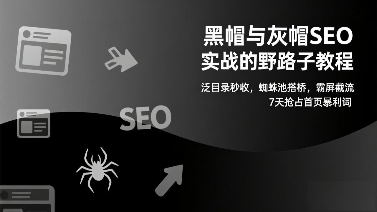黑帽与灰帽SEO实战的野路子教程：泛目录秒收，蜘蛛池搭桥，霸屏截流，7天抢占首页暴利词-鸿途网创资源站