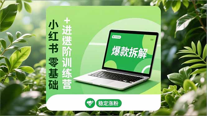 小红书零基础+高阶训练营：安全养号、爆款拆解、长效运营，实现稳定涨粉与变现-鸿途网创资源站