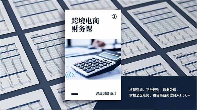 跨境电商财务课，核算逻辑、平台规则、账务处理，掌握全盘账务，胜任高薪岗位月入1.5万+-鸿途网创资源站