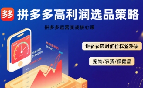 拼多多选品暴利技术实战课，拼多多高利润选品策略，拼多多限时低价标签秘诀-鸿途网创资源站