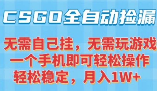 CSGO自动捡漏项目，最新独家玩法，一个手机可操作，新手小白轻松月入1W+，操作简单易上手【揭秘】-鸿途网创资源站