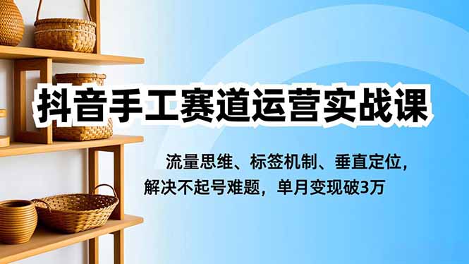 抖音手工赛道运营实战课，流量思维、标签机制、垂直定位，解决不起号难题，单月变现破3万-鸿途网创资源站