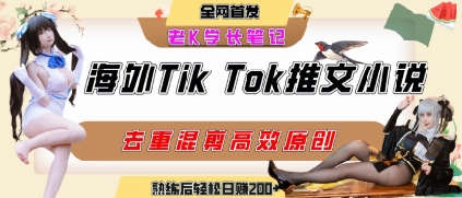 海外tiktok小说推文暴力项目，高停留率，高转化率，上手后一天搞顿饭钱不是问题-鸿途网创资源站