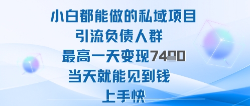 2025年小白都能做的私域项目引流负债人群最高一天变现1k+高变现难度低当天就能见到钱上手快-鸿途网创资源站