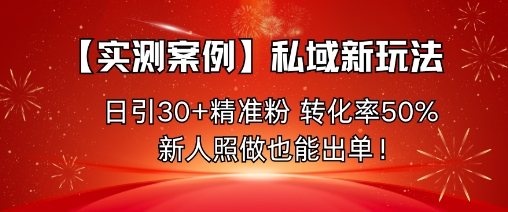 【实测案例】私域新玩法，日引30+精准粉，转化率50%，新人照做也能出单！-鸿途网创资源站