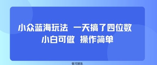 小众蓝海玩法 一天搞了四位数 小白可做 操作简单-鸿途网创资源站