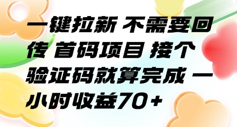 一键拉新 不需要回传 首码项目 接个验证码就算完成 一小时收益70+【揭秘】-鸿途网创资源站