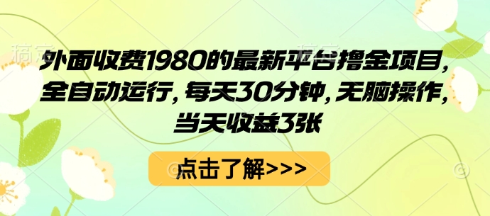 外面收费1980的最新平台撸金项目，全自动运行，每天30分钟，无脑操作，当天收益3张【揭秘】-鸿途网创资源站