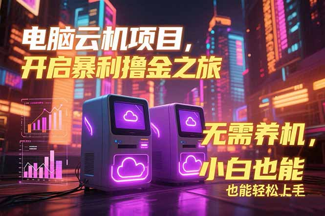 电脑云机项目 暴力撸金玩法，不需要养机 配置没有要求 单机100个窗口一…-鸿途网创资源站