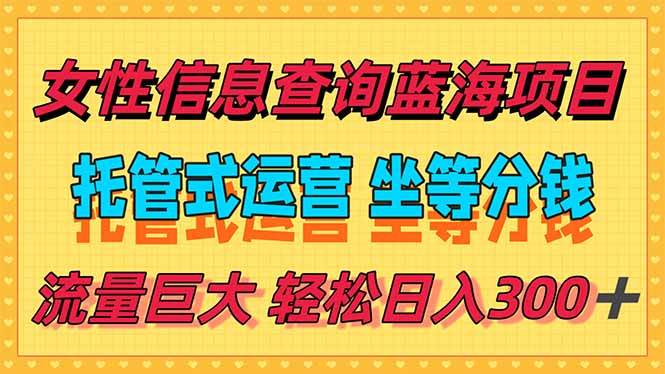 (15216期)稳定日入300+,小众信息查询蓝海项目,全程懒人式托管,解放你的时间-鸿途网创资源站