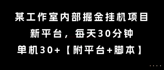 某工作室内部掘金挂G项目，新平台，每天30分钟，单机30+【揭秘】-鸿途网创资源站
