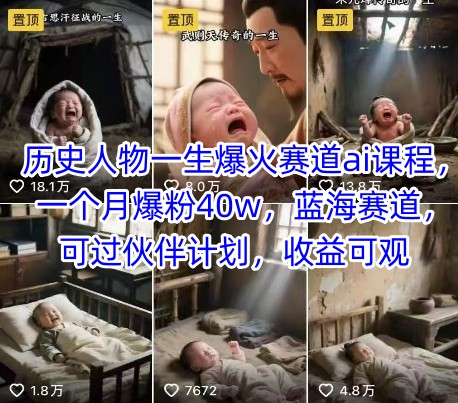 历史人物一生爆火赛道ai课程，一个月爆粉40w，蓝海赛道，可过伙伴计划，收益可观-鸿途网创资源站