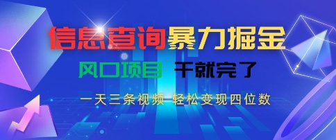 信息查询暴力掘金，一天三条视频，轻松变现四位数，风口项目干就完了【揭秘】-鸿途网创资源站